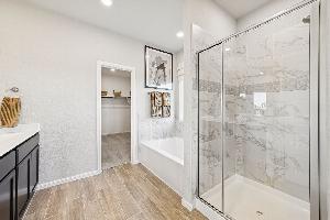 Owner's Bathroom