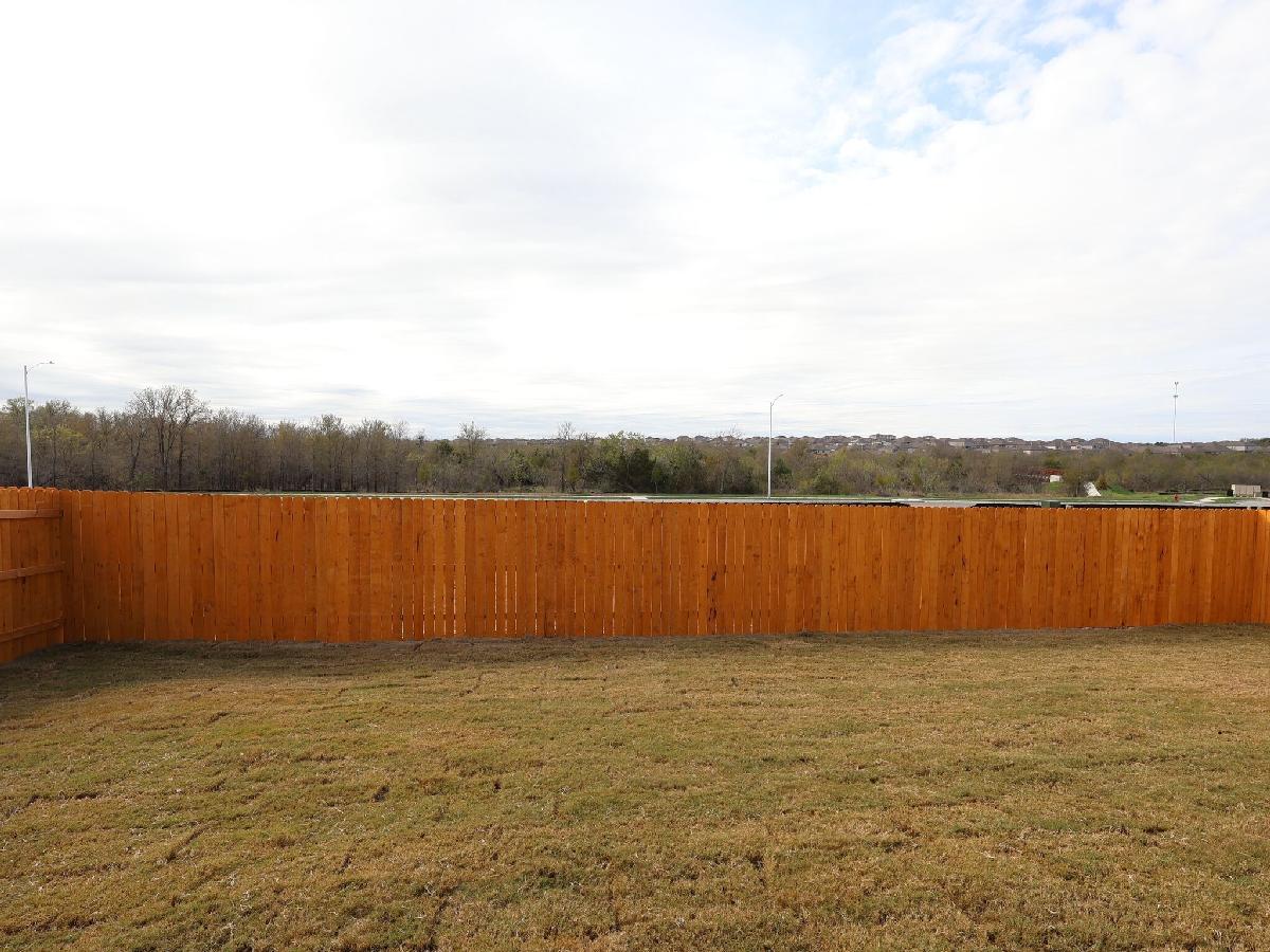 Backyard