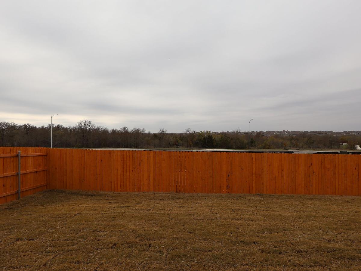 Backyard