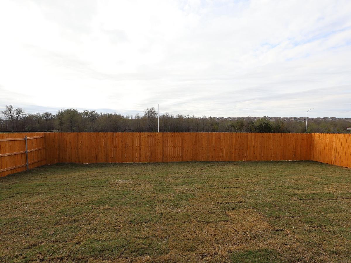 Backyard
