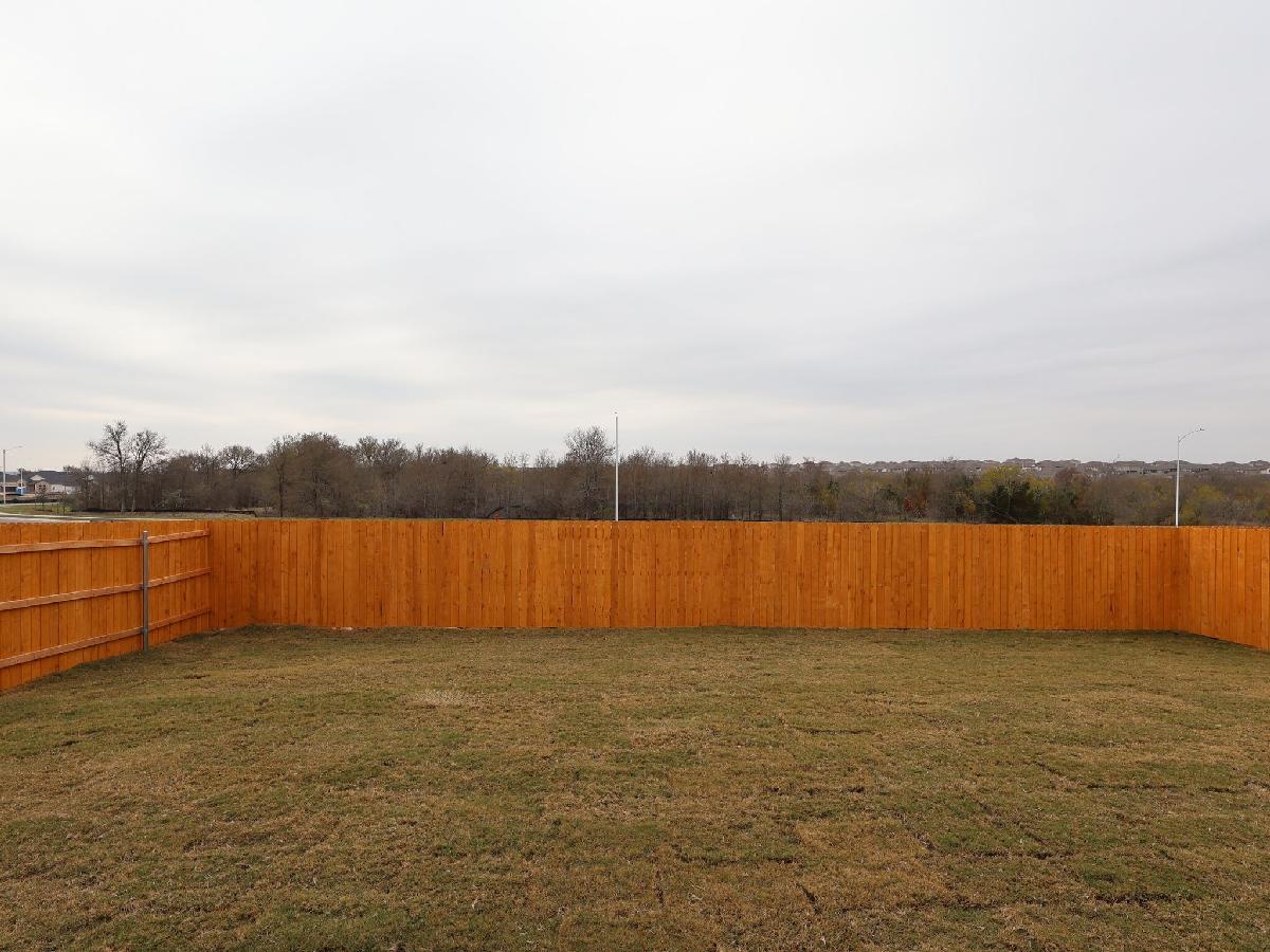 Backyard