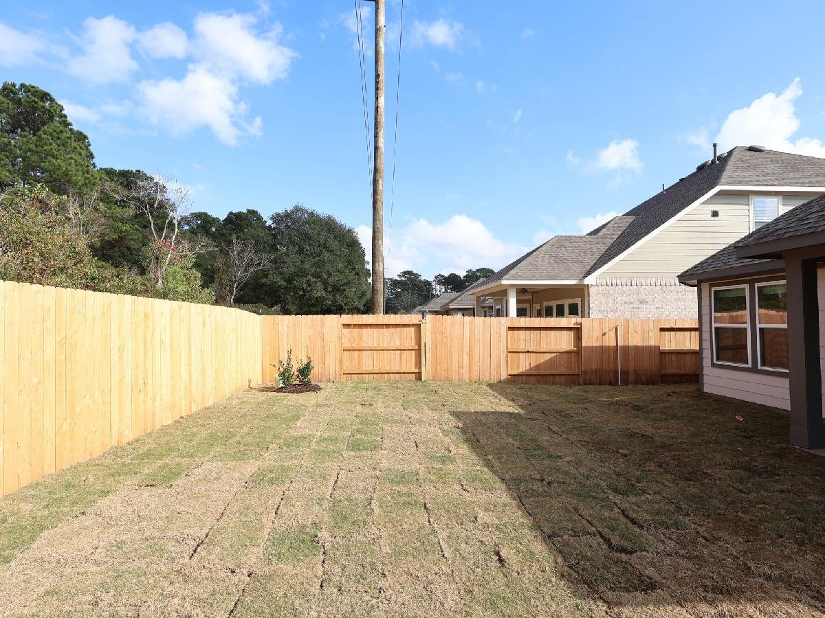 Backyard