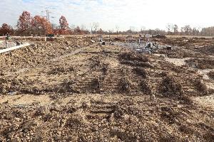 Homesite