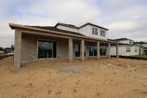 Back Exterior