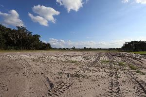 Homesite