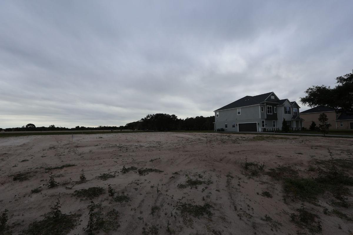 Homesite
