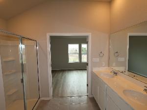 Owner's Bathroom