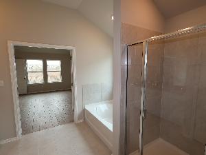 Owner's Bathroom