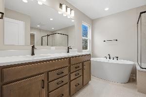 Owner's Bathroom