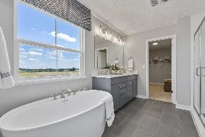 Owner's Bathroom