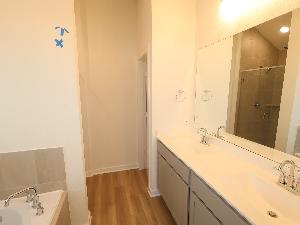 Owner's Bathroom