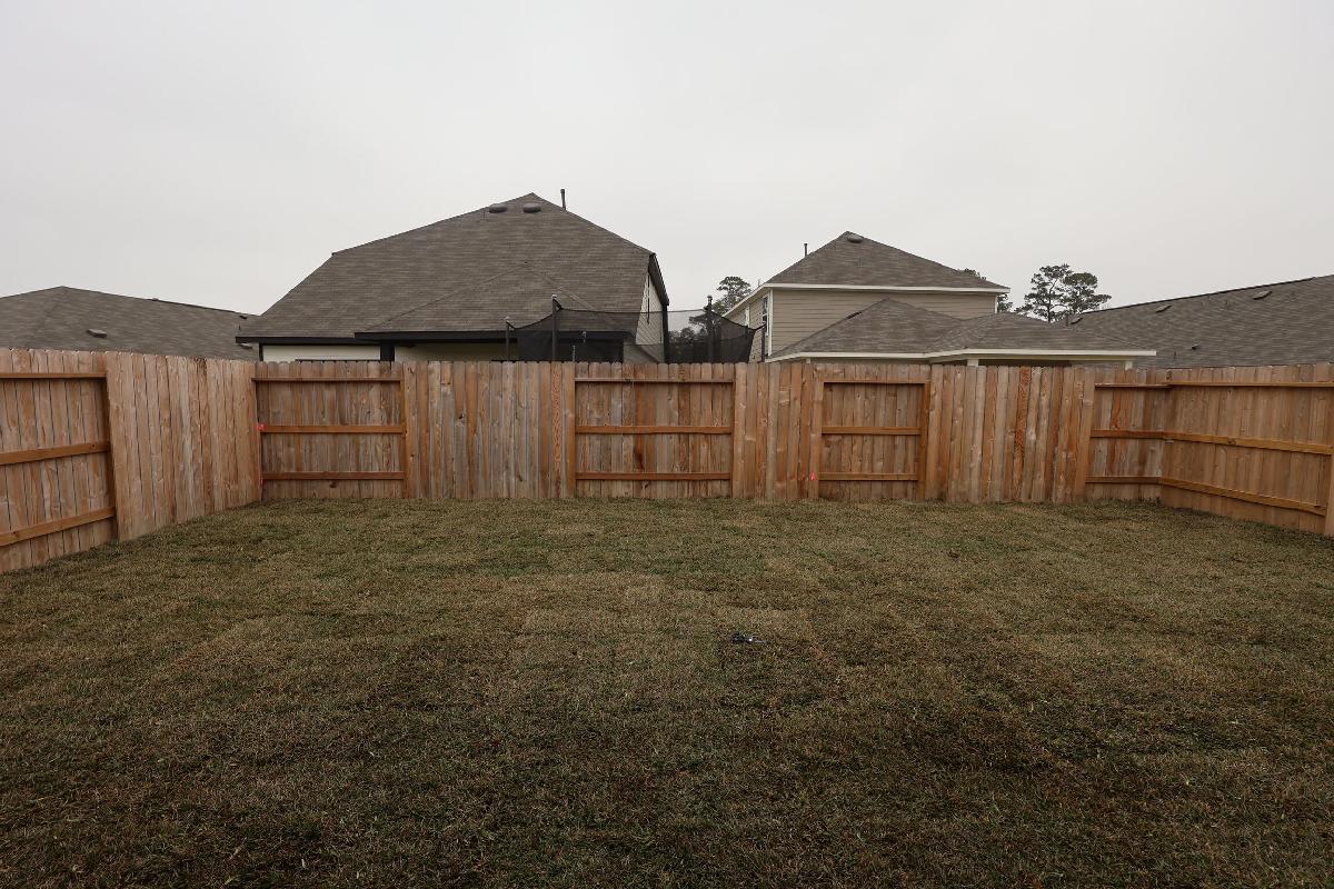 Backyard