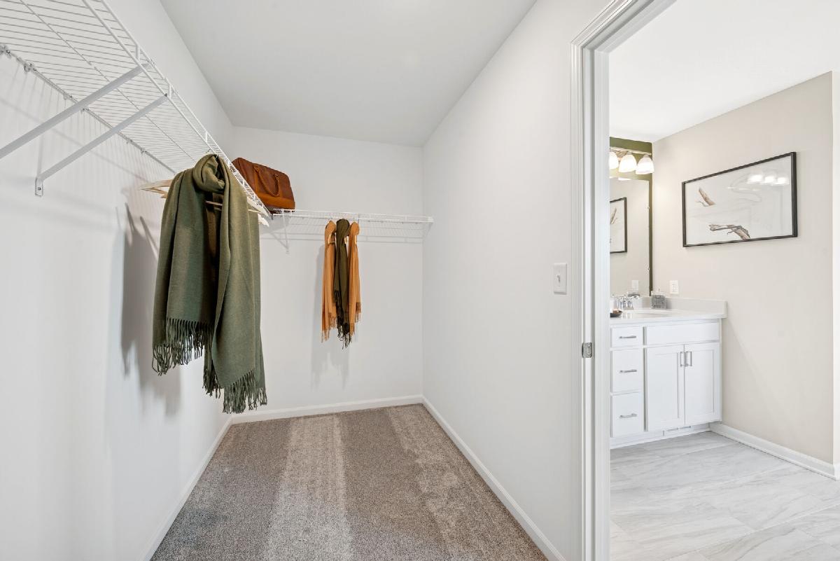 Owner's Closet - Representational Photo
