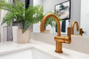 Owner's Bathroom