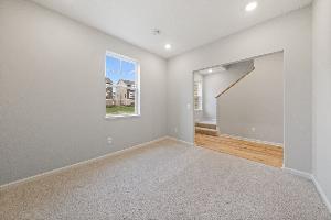 Lower Level Recreation Room