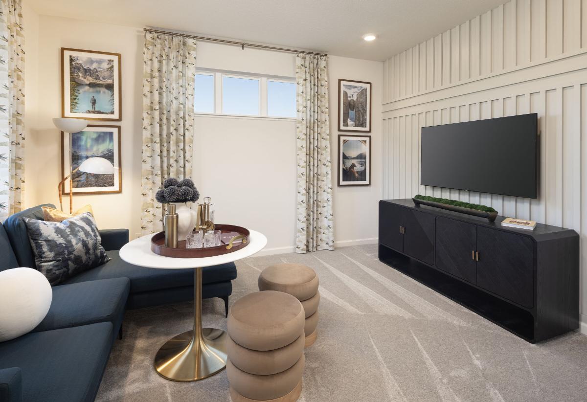 Flex Room