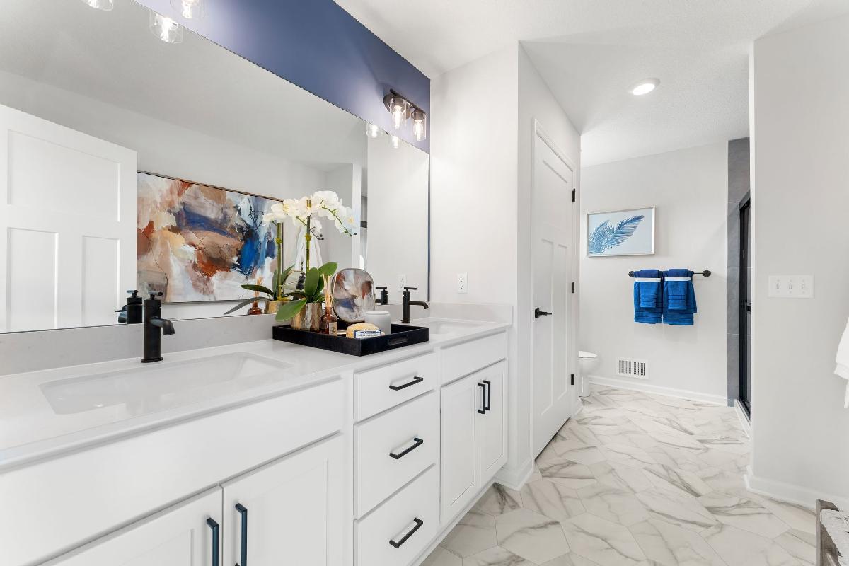 Owner's Bathroom