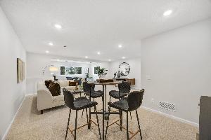 Lower Level Recreation Room