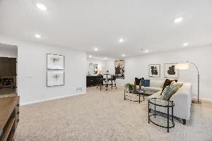 Lower Level Recreation Room