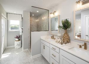 Owner's Bathroom - Representational Photo