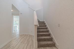 Staircase - Representational Photo